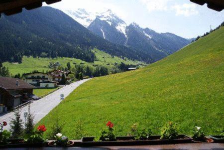 Stoeckl Appartement *